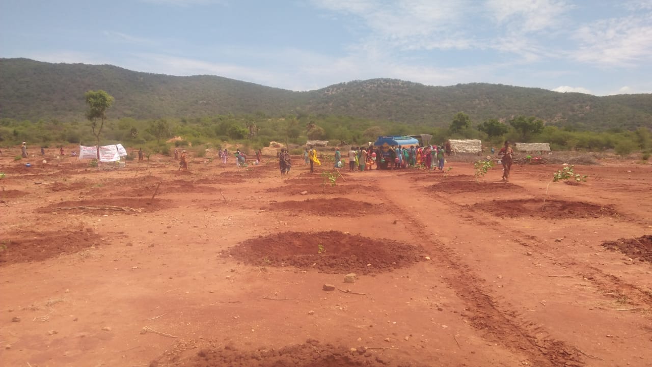 IMG-20190913-WA0104.jpg